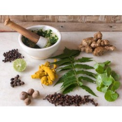 Ayurvedic Medicine